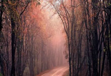 巴黎圣日耳曼锋线犀利，多场胜利进一步巩固领先