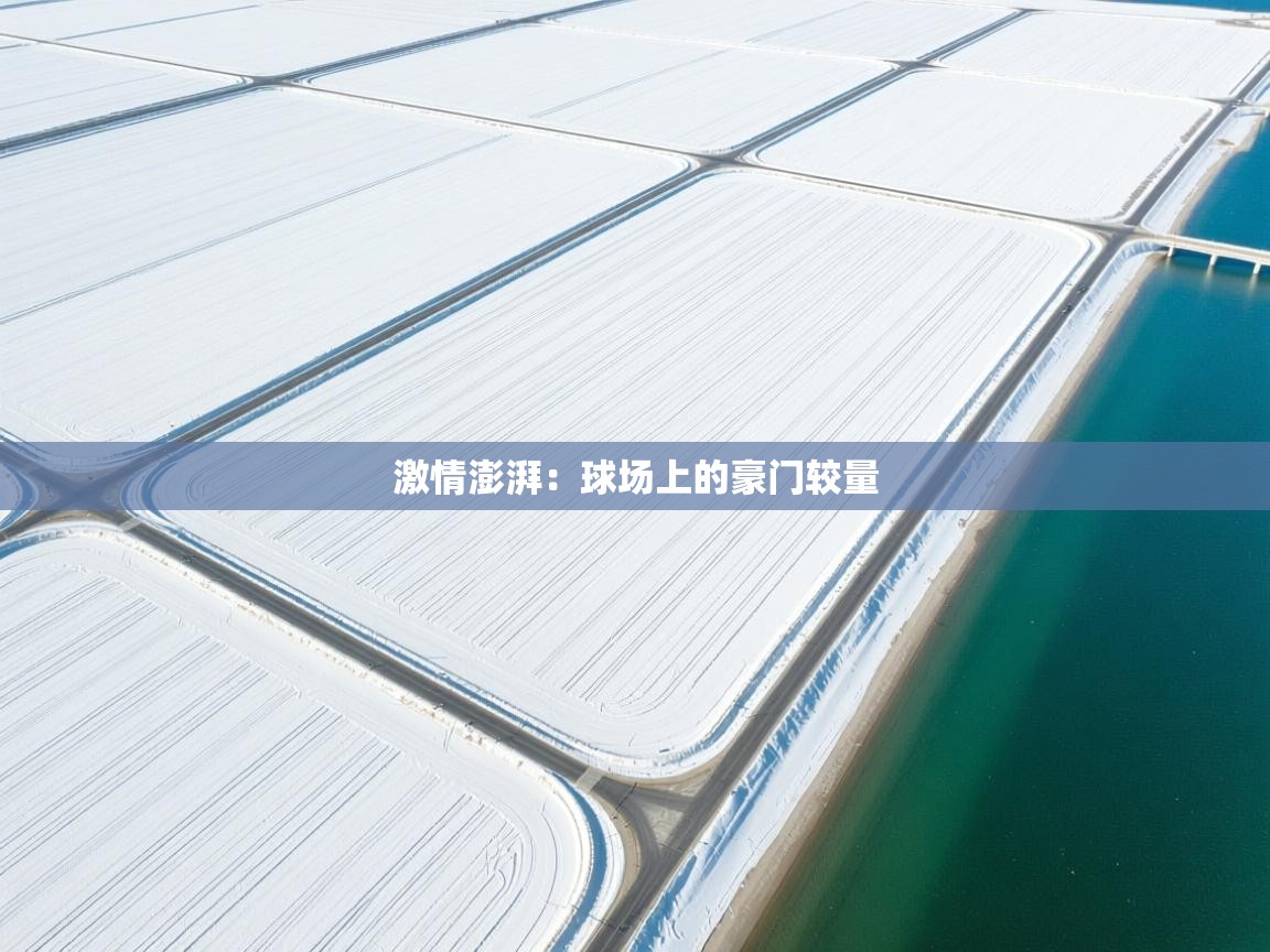 激情澎湃：球场上的豪门较量