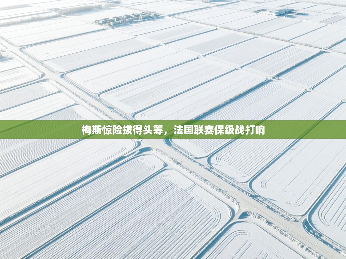 梅斯惊险拔得头筹，法国联赛保级战打响