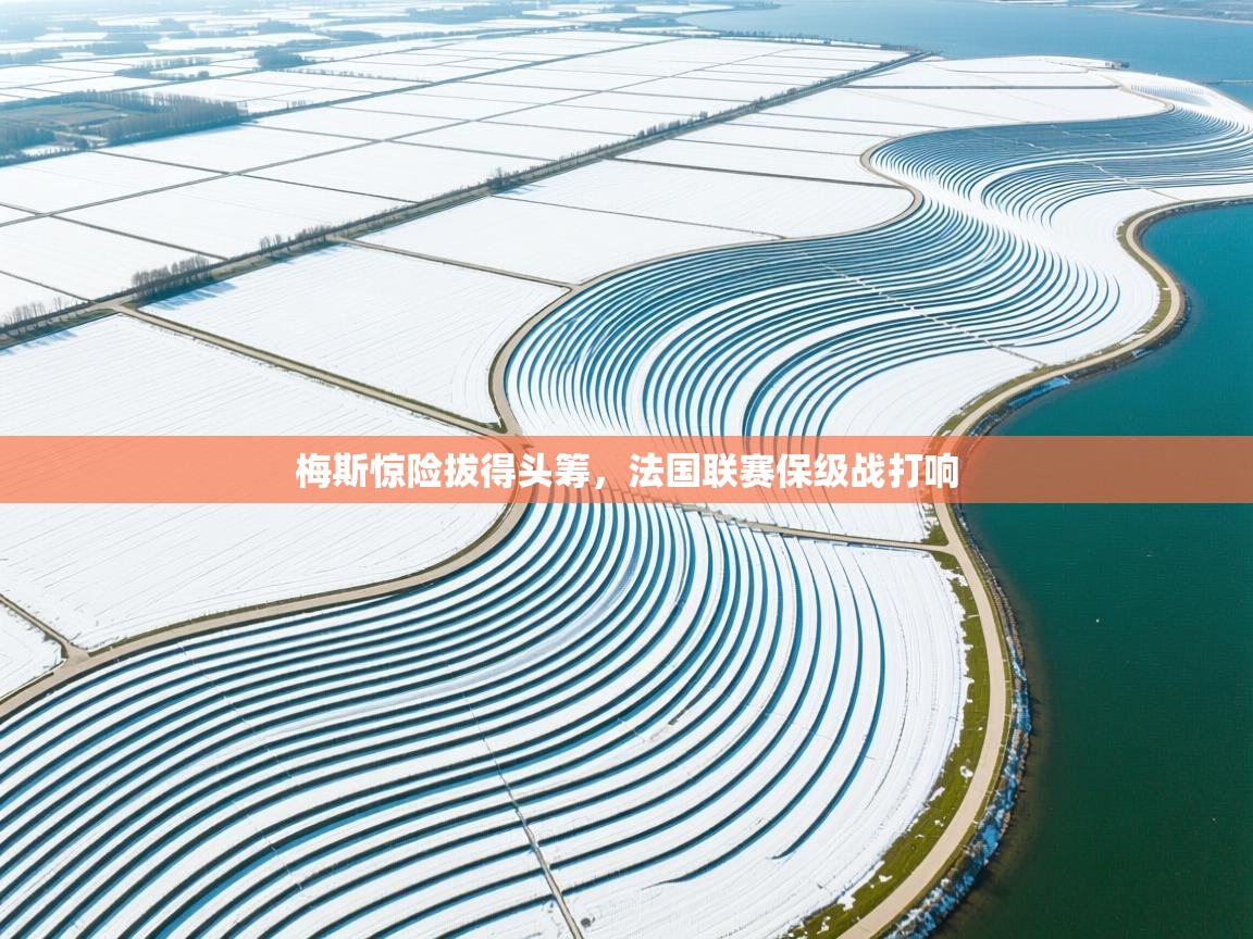 梅斯惊险拔得头筹，法国联赛保级战打响  第2张